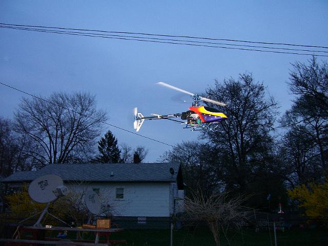 NewCanopy 009.jpg